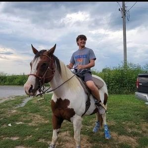 Meet your Posher, Andrew